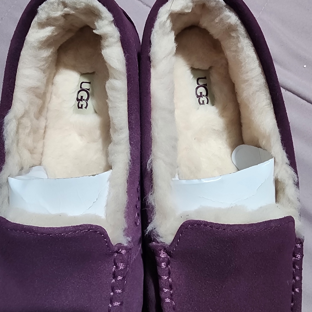 Women's UGG AnsleyWater Resistant Slipper In Limited Edition Purple - Picture 4 of 6
